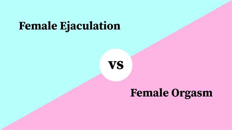 what is fem dom|What is the Difference Between a Female.